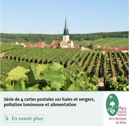 Série cartes postales Montagen de Reims Séminiaire agriculture 2021