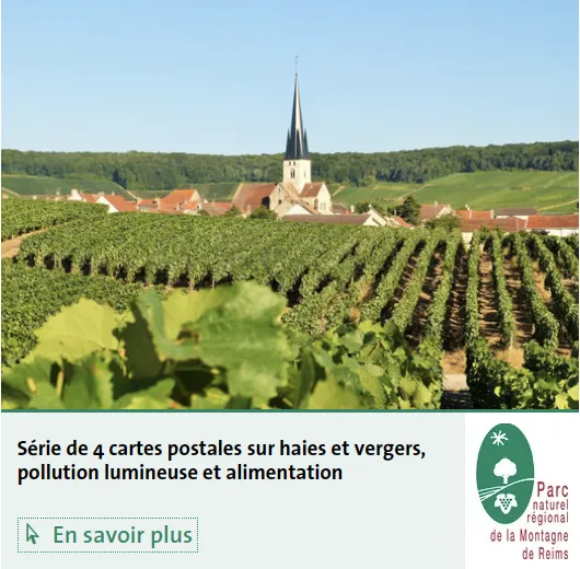 Série cartes postales Montagen de Reims Séminiaire agriculture 2021