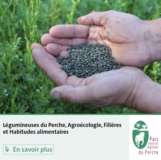 Carte postale Légumineuses du Perche