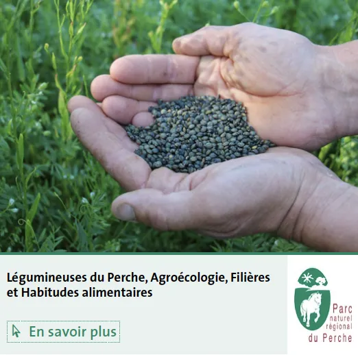 Légumineuses du Perche : agroécologie, filières et habitudes alimentaires