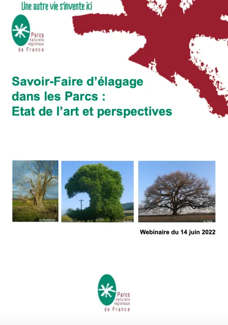 Visio-conférence - Savoir-faire d'élagage dans les Parcs : état de l'art et perspectives