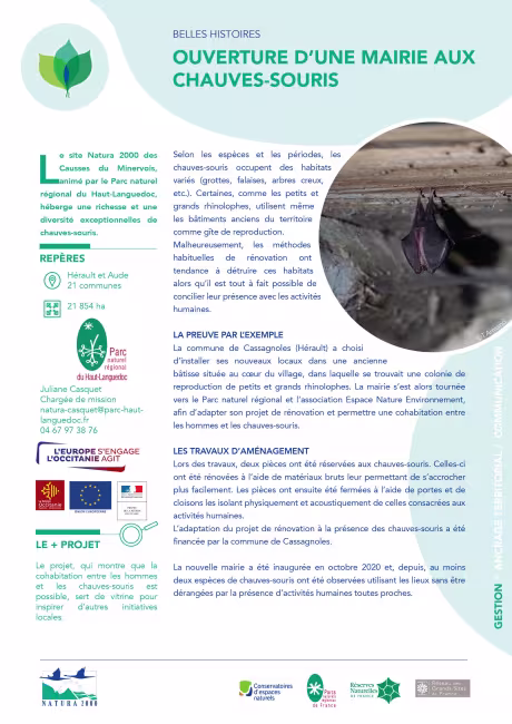 Ouverture d'une mairie aux chauves-souris