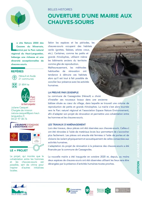 Ouverture d'une mairie aux chauves-souris