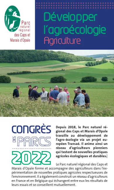 Développer l'agriculture en Caps et marais d'Opale, panneau marché des initiatives 2022