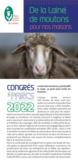 De la laine de moutons pour nos maisons