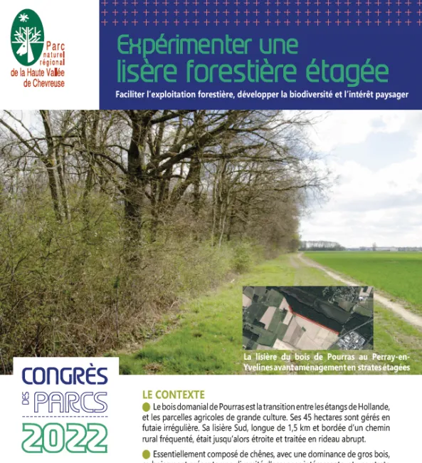 Expérimenter une lisière forestière étagée