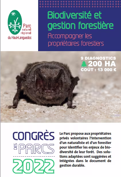 Biodiversité et gestion forestière : accompagner les propriétaires forestiers