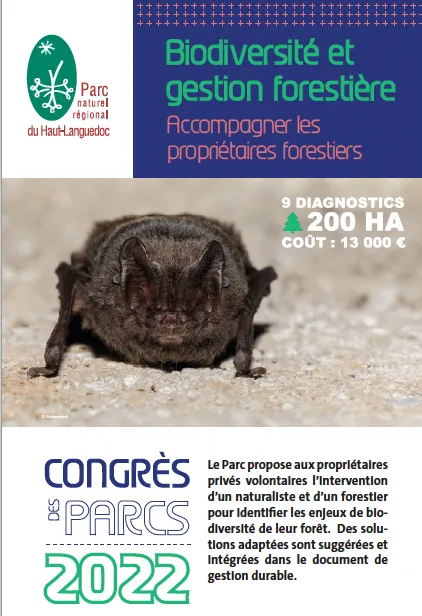 Biodiversité et gestion forestière : accompagner les propriétaires forestiers