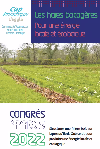 Cap Atlantique : les haies bocagères, pour une énergie locale et écologique