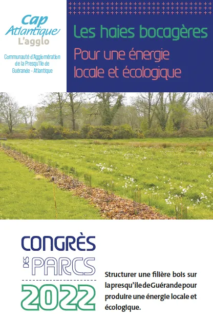 Cap Atlantique : les haies bocagères, pour une énergie locale et écologique