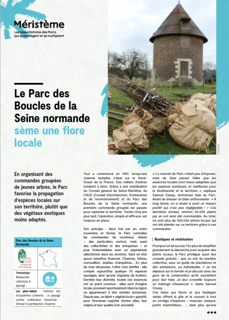 Le Parc des Boucles de la Seine normande sème une flore locale