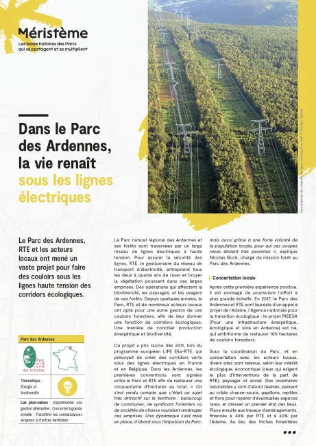 Dans le Parc des Ardennes, la vie renaît sous les lignes électriques