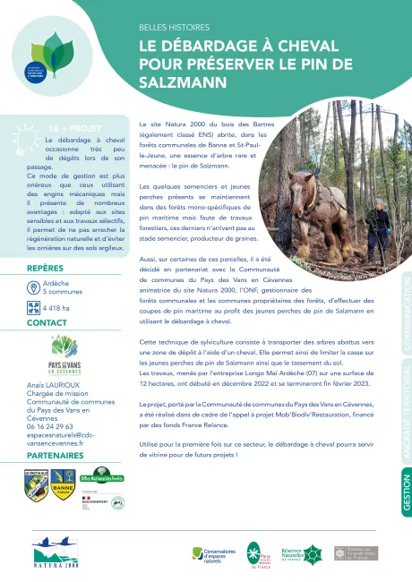 Le débardage à cheval pour préserver le pin de Salzmann  
