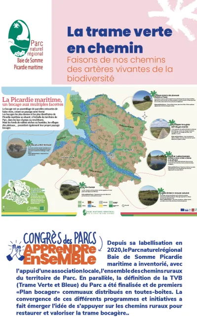 Baie de Somme Picardie Maritime : La trame verte en chemin, faisons de nos chemins des artères vivantes de la biodiversité