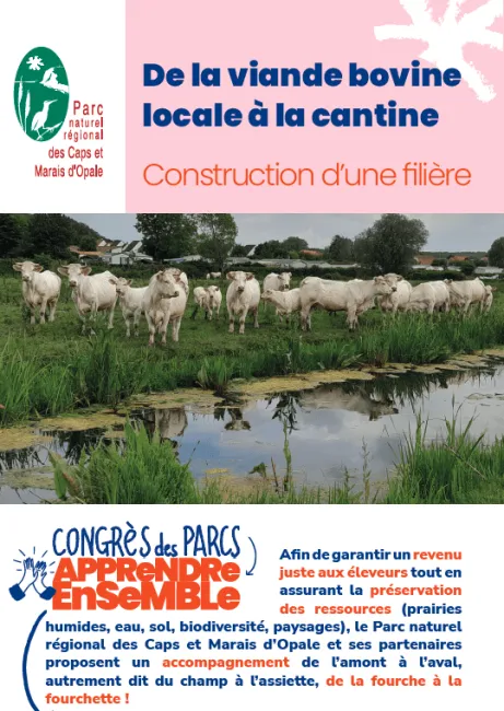 Caps et Marais d'Opale : de la viande bovine locale à la cantine, construction d’une filière