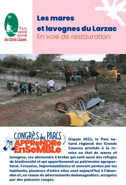 Grands Causses : les mares et lavognes du Larzac en voie de restauration