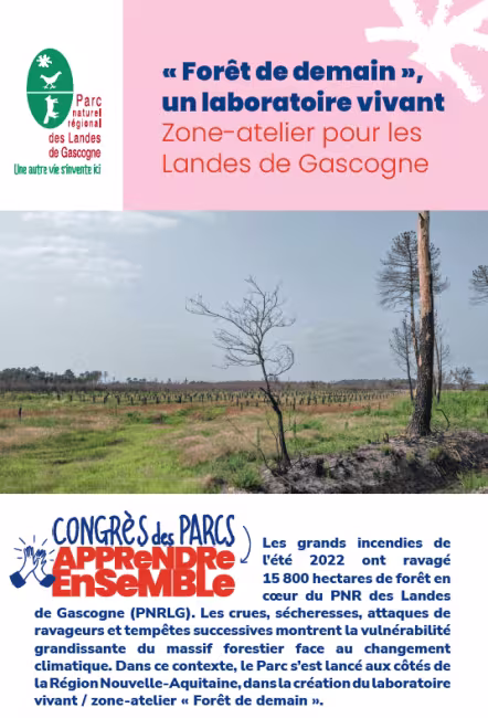 Landes de Gascogne : « Forêt de demain », un laboratoire vivant Zone-atelier pour les Landes de Gascogne