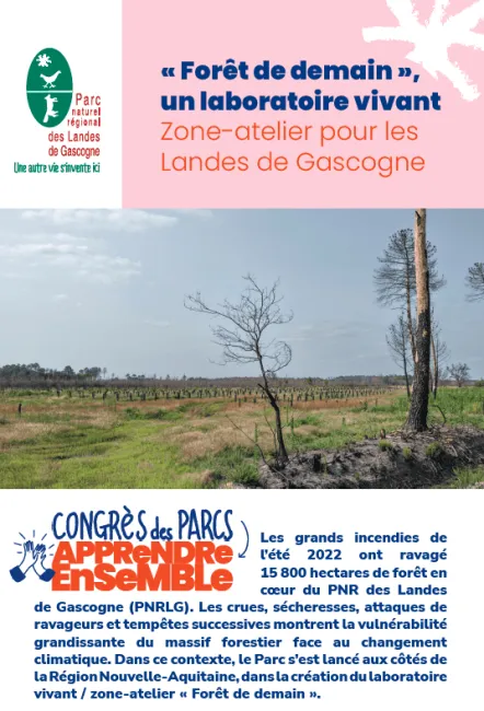 Landes de Gascogne : « Forêt de demain », un laboratoire vivant Zone-atelier pour les Landes de Gascogne