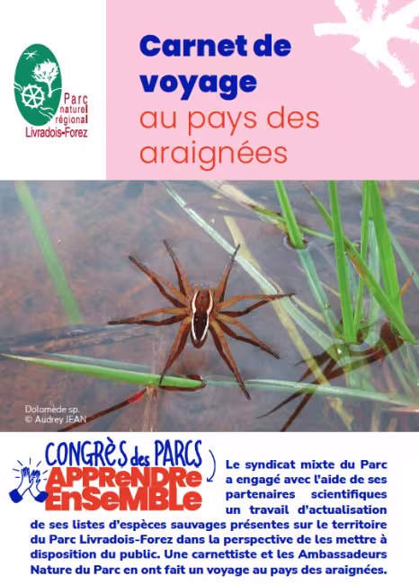 Livradois Forez : carnet de voyage au pays des araignées