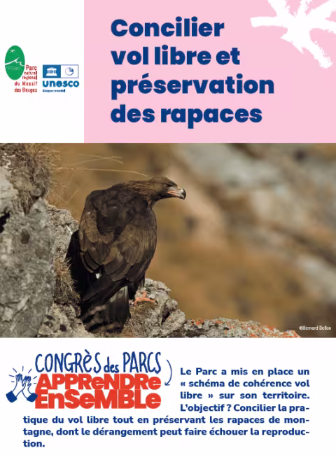 Massif des Bauges : concilier vol libre et préservation des rapaces