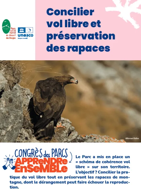 Massif des Bauges : concilier vol libre et préservation des rapaces
