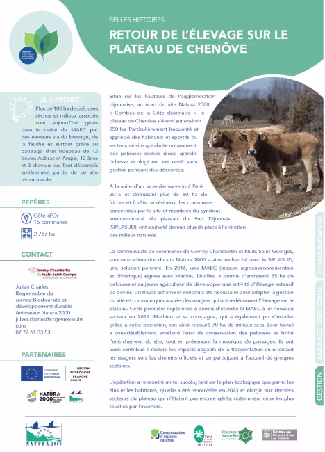 Retour de l’élevage sur le plateau de Chenôve
