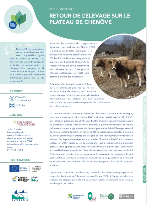 Retour de l’élevage sur le plateau de Chenôve