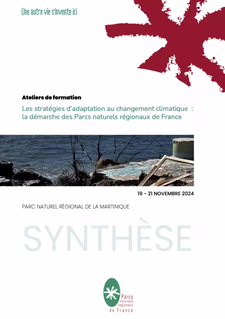 caps écran synthèse formation Martinique 2024 adaptation