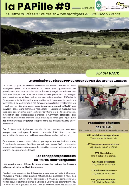 PAPille juillet 2026
