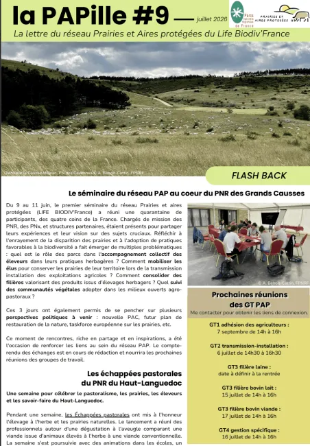 PAPille juillet 2026