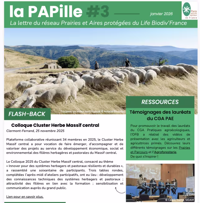 PAPille janvier 2026