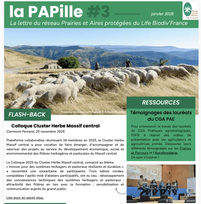 PAPille janvier 2026