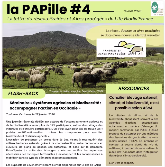 PAPille février 2026