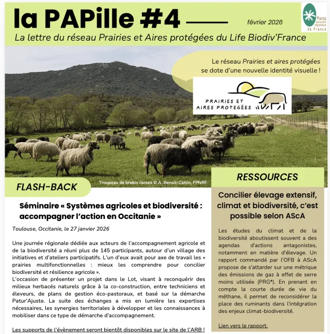 PAPille février 2026