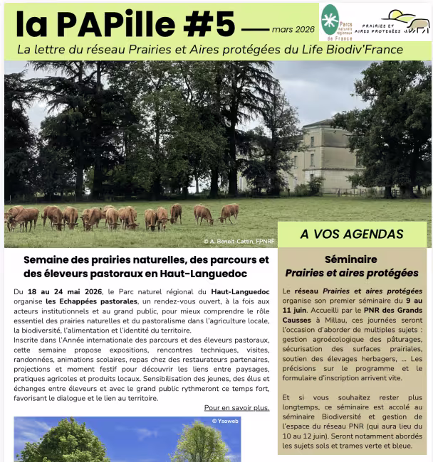PAPille mars 2026