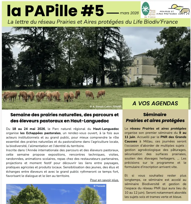 PAPille mars 2026
