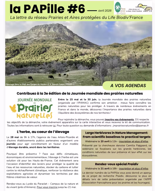 PAPille avril 2026