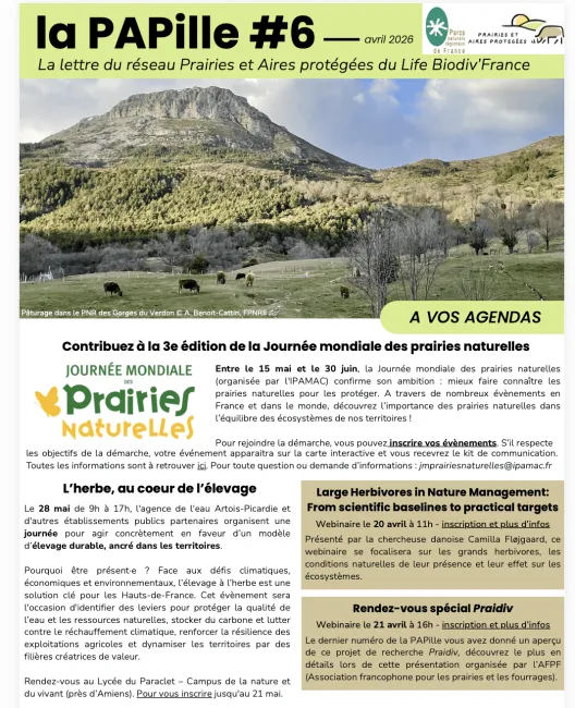 PAPille avril 2026