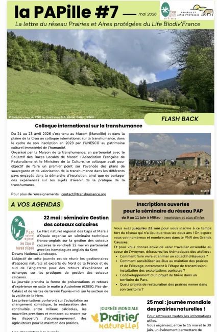 PAPille mai 2026