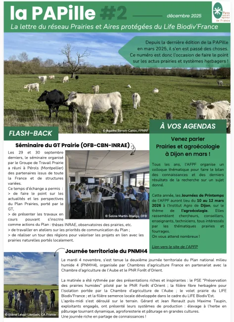 PAPille Décembre 2025