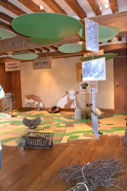 Scénographie de l'exposition Natura 2000 : héritage du travail des hommes - Exposition du 16 février au 13...