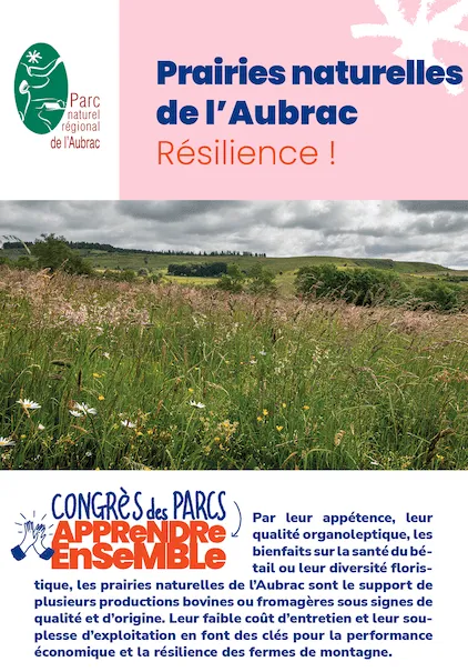 Aubrac : Prairies naturelles de l'Aubrac, résilience !