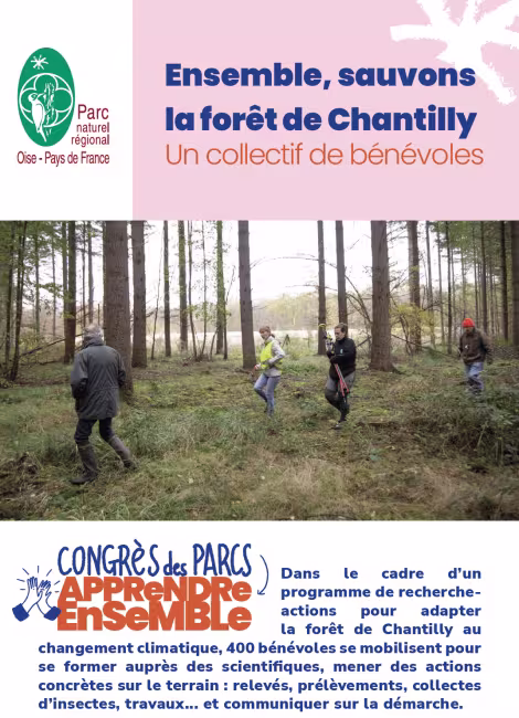Oise pays de France : ensemble, sauvons la forêt de Chantilly, un collectif de bénévoles