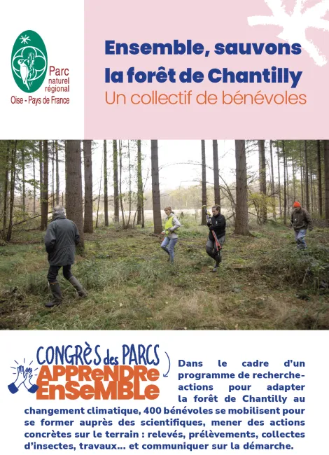 Oise pays de France : ensemble, sauvons la forêt de Chantilly, un collectif de bénévoles
