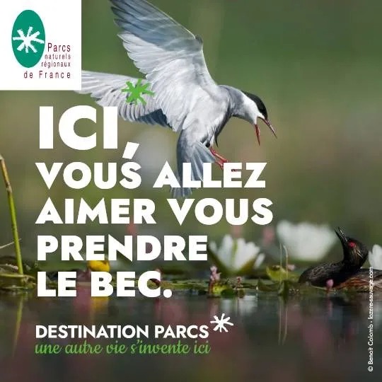 « ICI, vous allez aimer… » La nouvelle campagne de communication inspirante des Parcs naturels régionaux