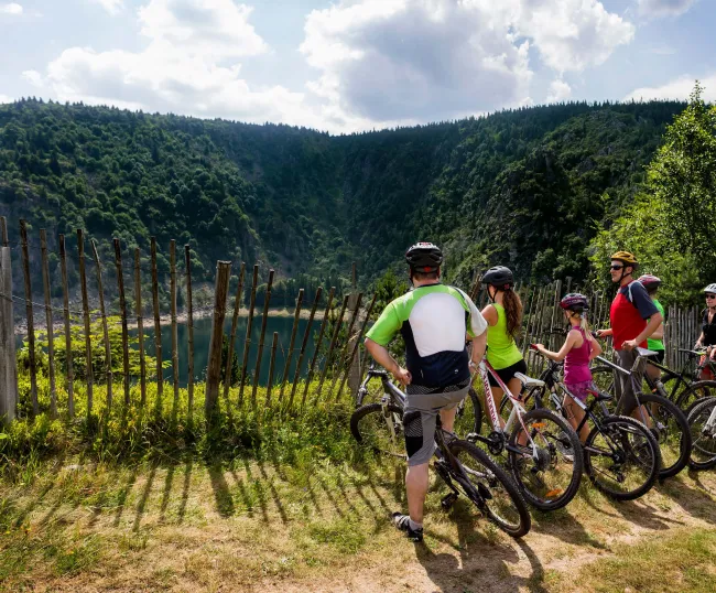 Le Parc, un espace de vie : sports et nature à partager