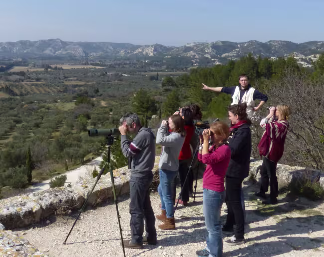 Application mobile « Balade nature, les oiseaux des Alpilles »