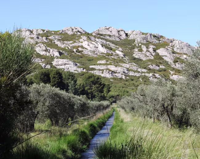 Les savoirs écologiques paysans