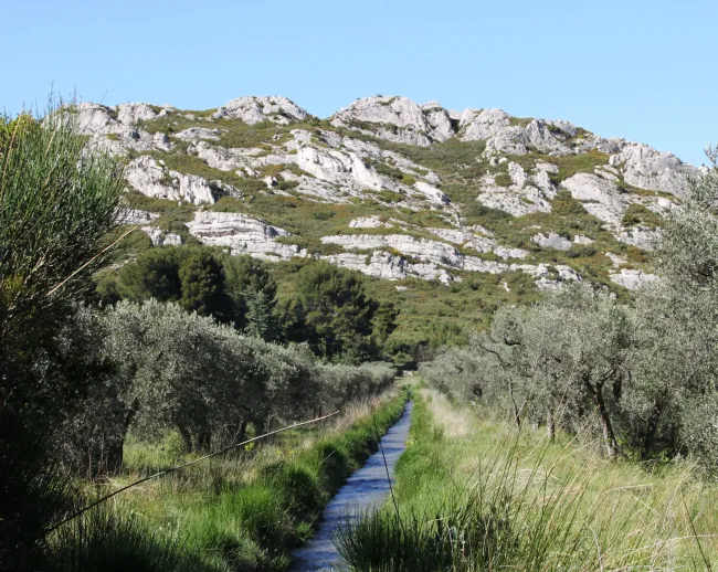 Les savoirs écologiques paysans