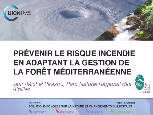 Prévenir le risque incendie en adaptant la gestion de la forêt méditerrannéenne